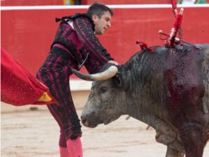 Pamplona - Corrida de toros - Domingo 8 de julio de 2018