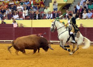 Luis Rouxinol, Filipe Gonçalves y Francisco Palha con toros de Pinto Barreiros