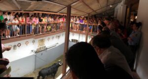 Santander - Corrida de rejones - Sorteo - Domingo 22 de julio de 2018