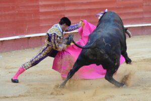 Valencia, 27 de julio de 2017