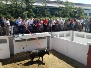 Azpeitia, sorteo de los toros de La Quinta, 30 de julio de 2018