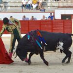 Colmenar Viejo, 25 de agosto de 2018