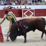 Colmenar Viejo, 25 de agosto de 2018