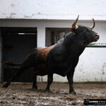 Sorteo, Bilbao 26 de agosto de 2018