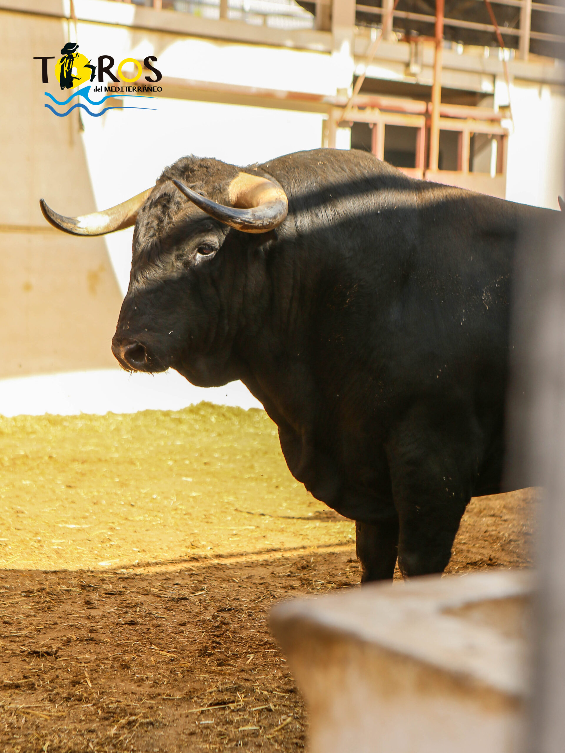 Sorteo, Málaga 18 de agosto de 2018