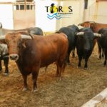 Sorteo, Málaga 18 de agosto de 2018