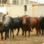 Sorteo, Málaga 18 de agosto de 2018