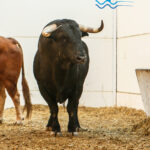 Sorteo, Málaga 18 de agosto de 2018