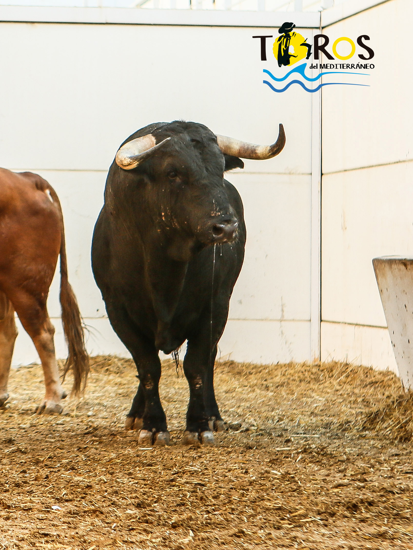 Sorteo, Málaga 18 de agosto de 2018