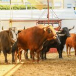 Sorteo, Málaga 18 de agosto de 2018