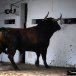 Sorteo, Bilbao 26 de agosto de 2018