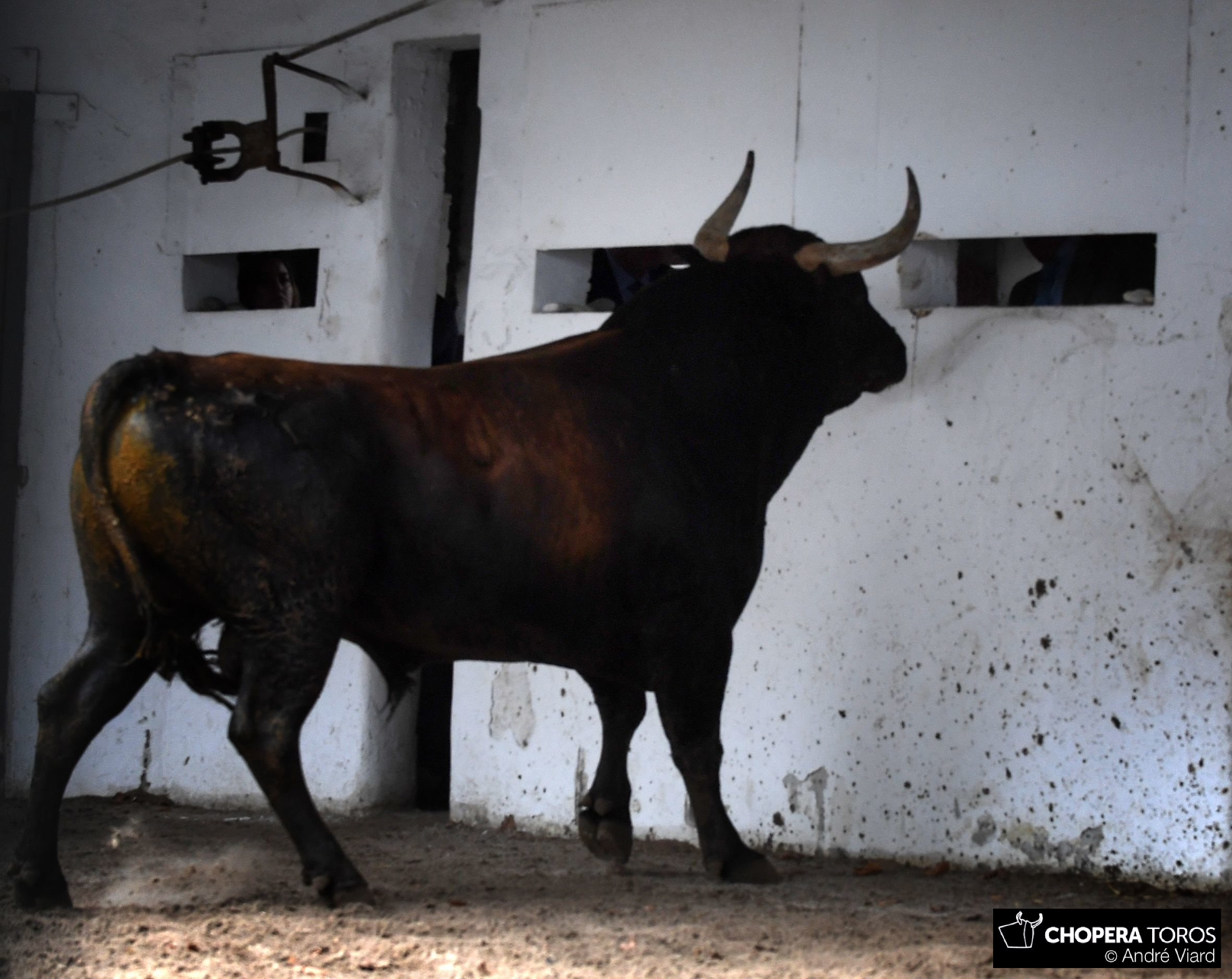 Sorteo, Bilbao 26 de agosto de 2018