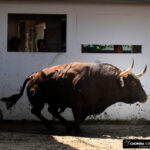 Bilbao, 18 de agosto de 2018