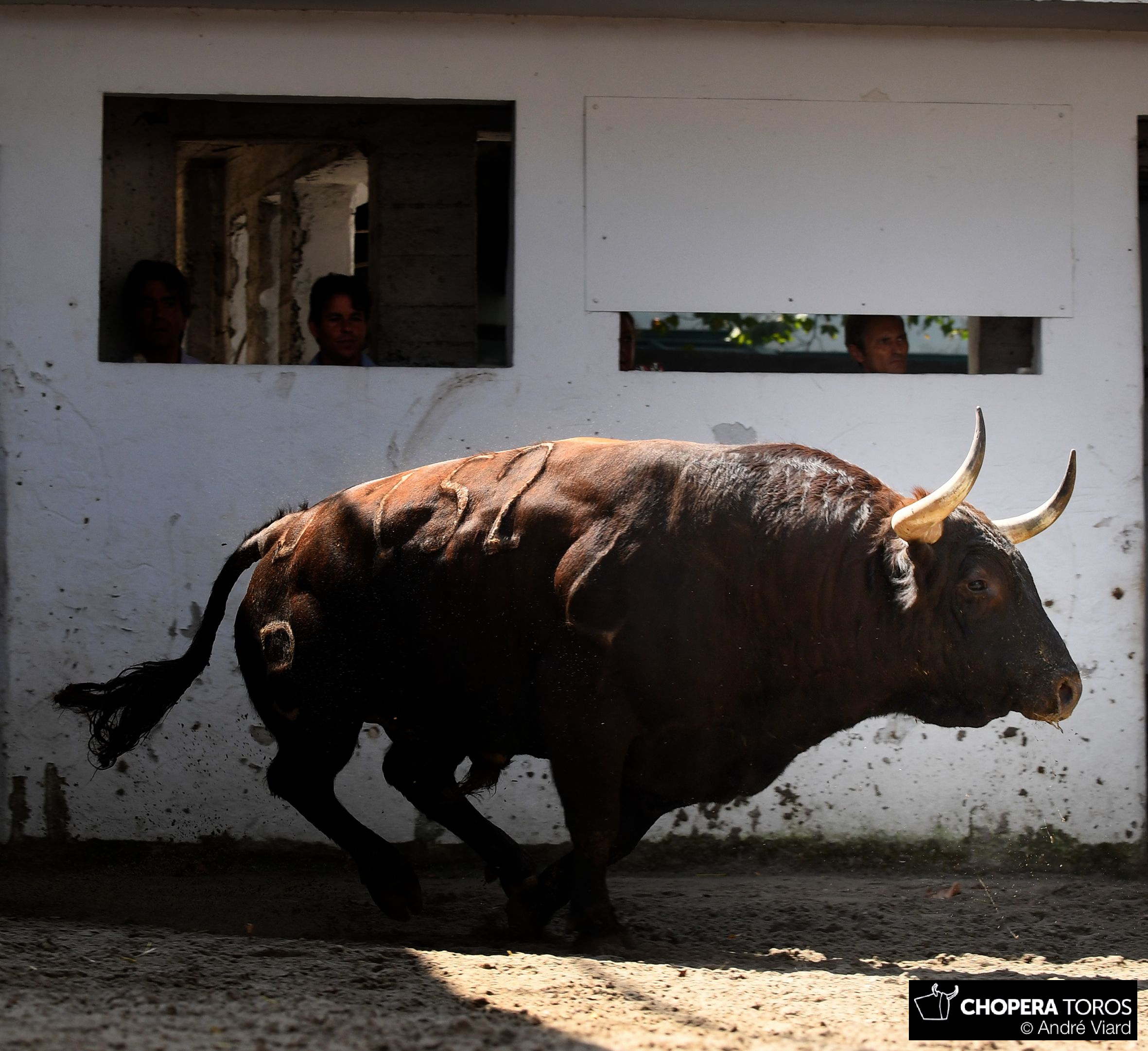 Bilbao, 18 de agosto de 2018