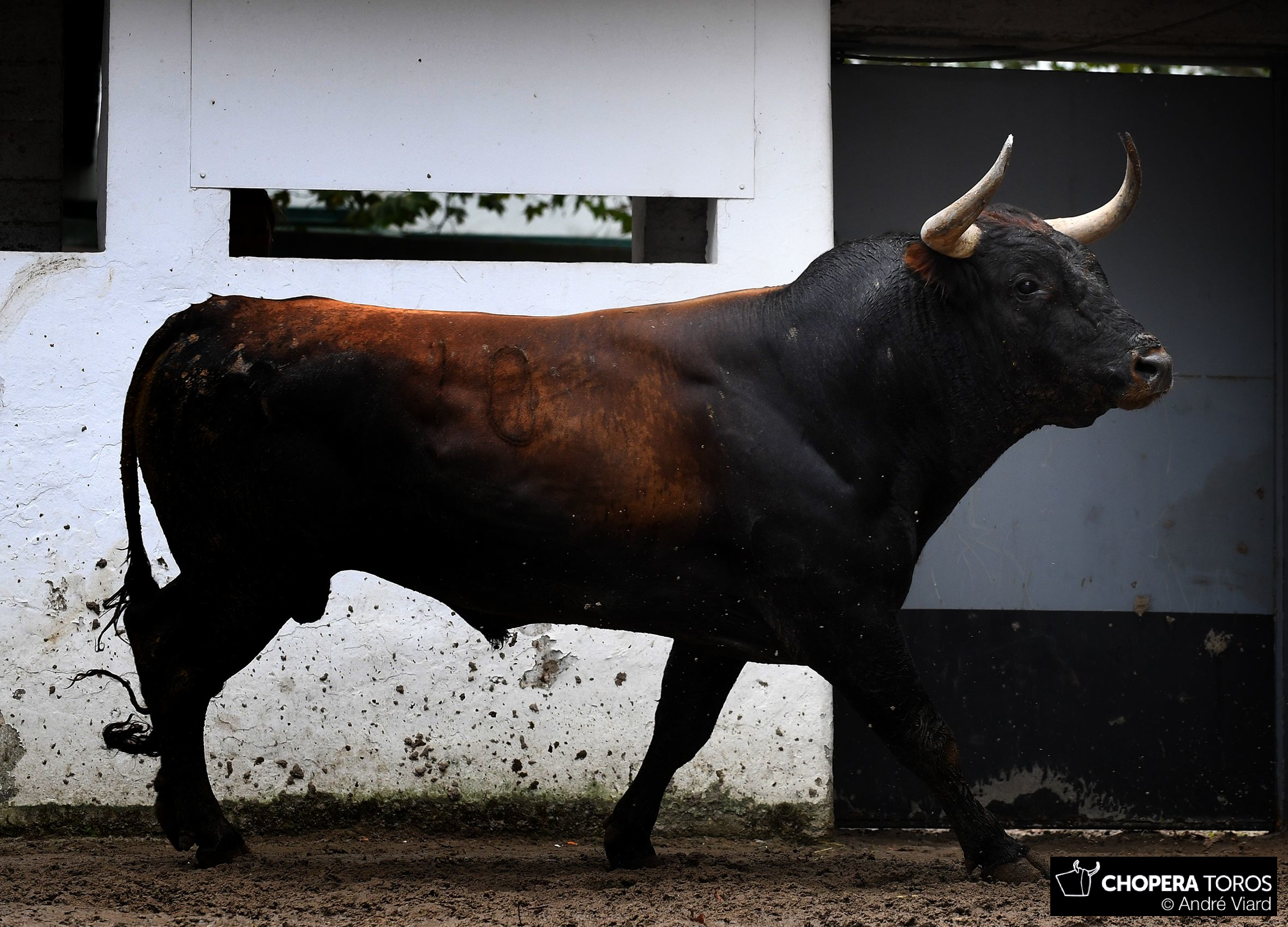 Sorteo, Bilbao 26 de agosto de 2018