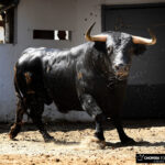 Bilbao, 18 de agosto de 2018