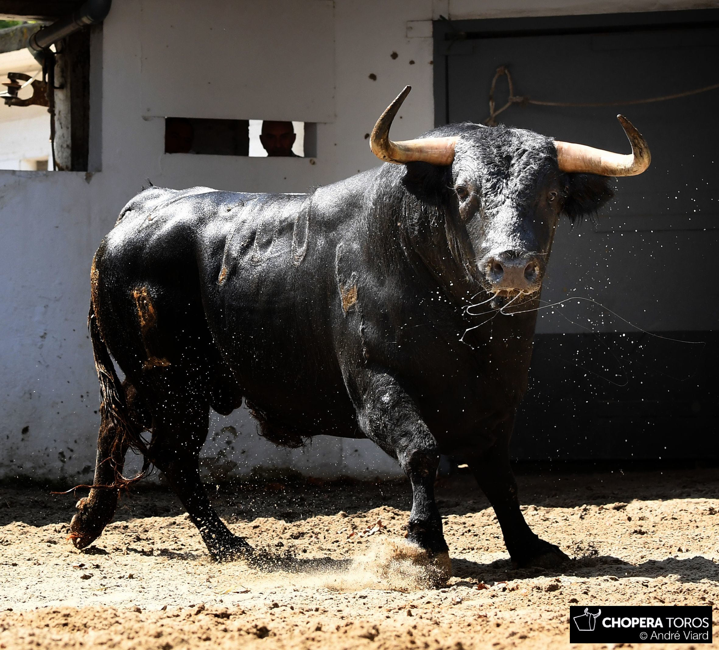 Bilbao, 18 de agosto de 2018