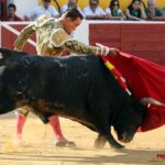 Huesca - Corrida de toros - Sábado 11 de agosto de 2018