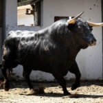 Bilbao. Sorteo 25 de agosto de 2018