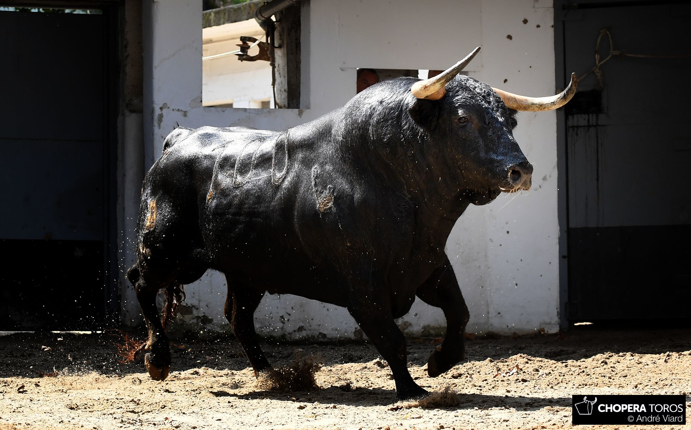 Bilbao. Sorteo 25 de agosto de 2018