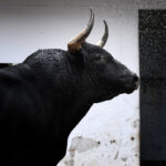 Sorteo, Bilbao 26 de agosto de 2018