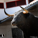 Bilbao. Sorteo 25 de agosto de 2018