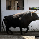 Bilbao, 18 de agosto de 2018