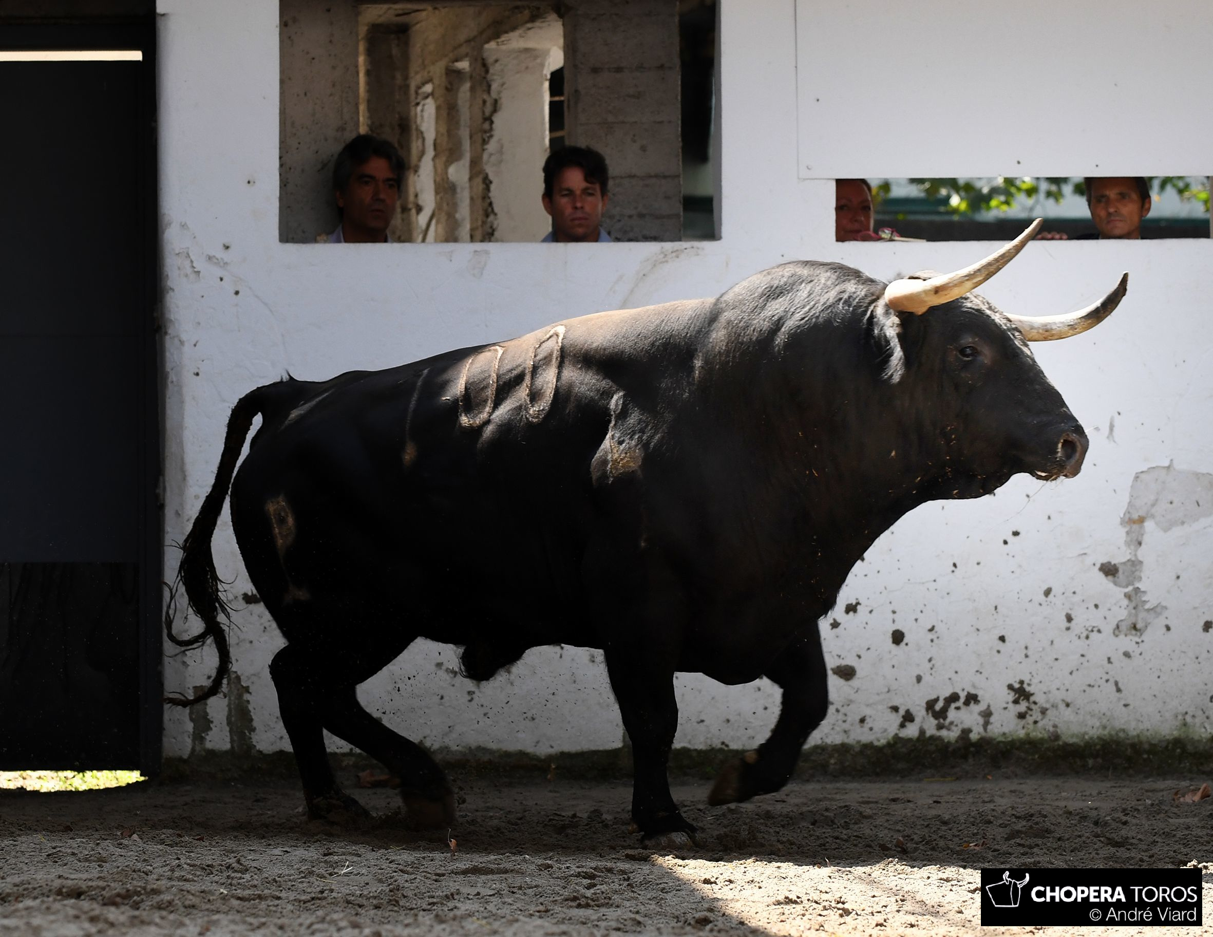 Bilbao, 18 de agosto de 2018