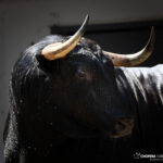 Sorteo, Bilbao 19 de agosto de 2018