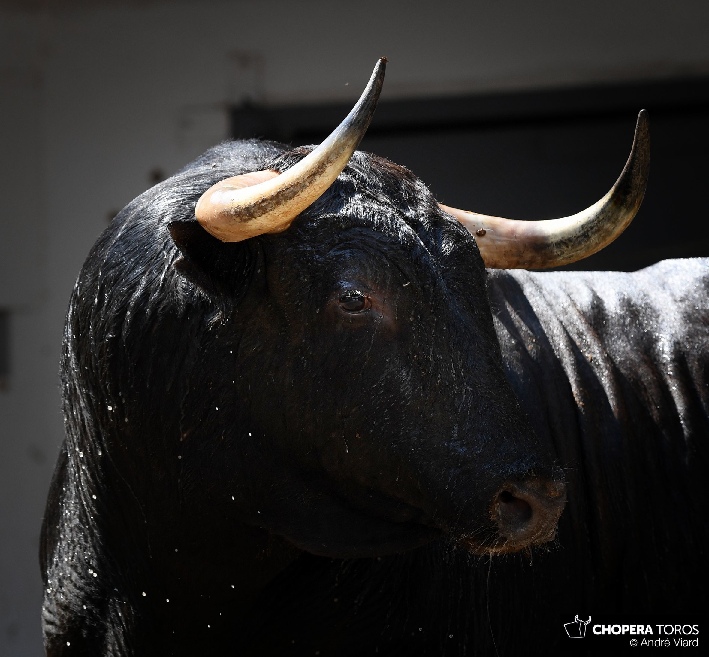 Sorteo, Bilbao 19 de agosto de 2018