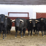 Sorteo. Almería, 25 de agosto de 2018