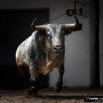 Sorteo, Bilbao 26 de agosto de 2018