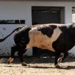 Bilbao, 18 de agosto de 2018