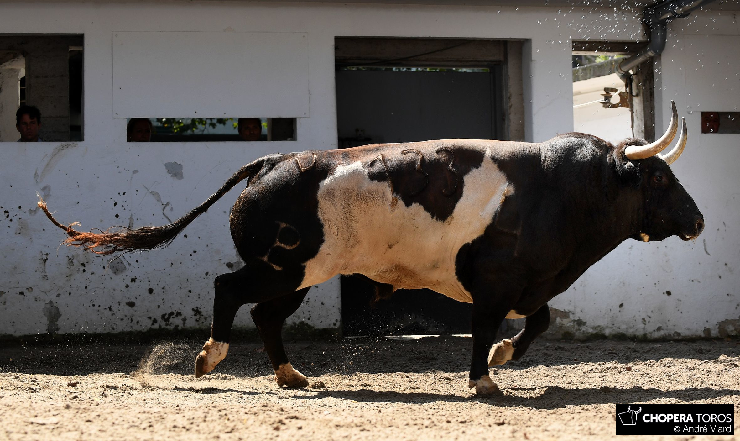 Bilbao, 18 de agosto de 2018