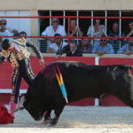 Saint-Gilles, 19 de agosto de 2018