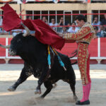 Saint-Gilles, 19 de agosto de 2018