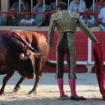 Saint-Gilles, 19 de agosto de 2018