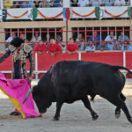 Saint-Gilles, 19 de agosto de 2018