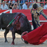 Saint-Gilles, 19 de agosto de 2018