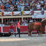 Saint-Gilles, 19 de agosto de 2018