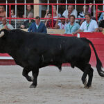 Saint-Gilles, 19 de agosto de 2018