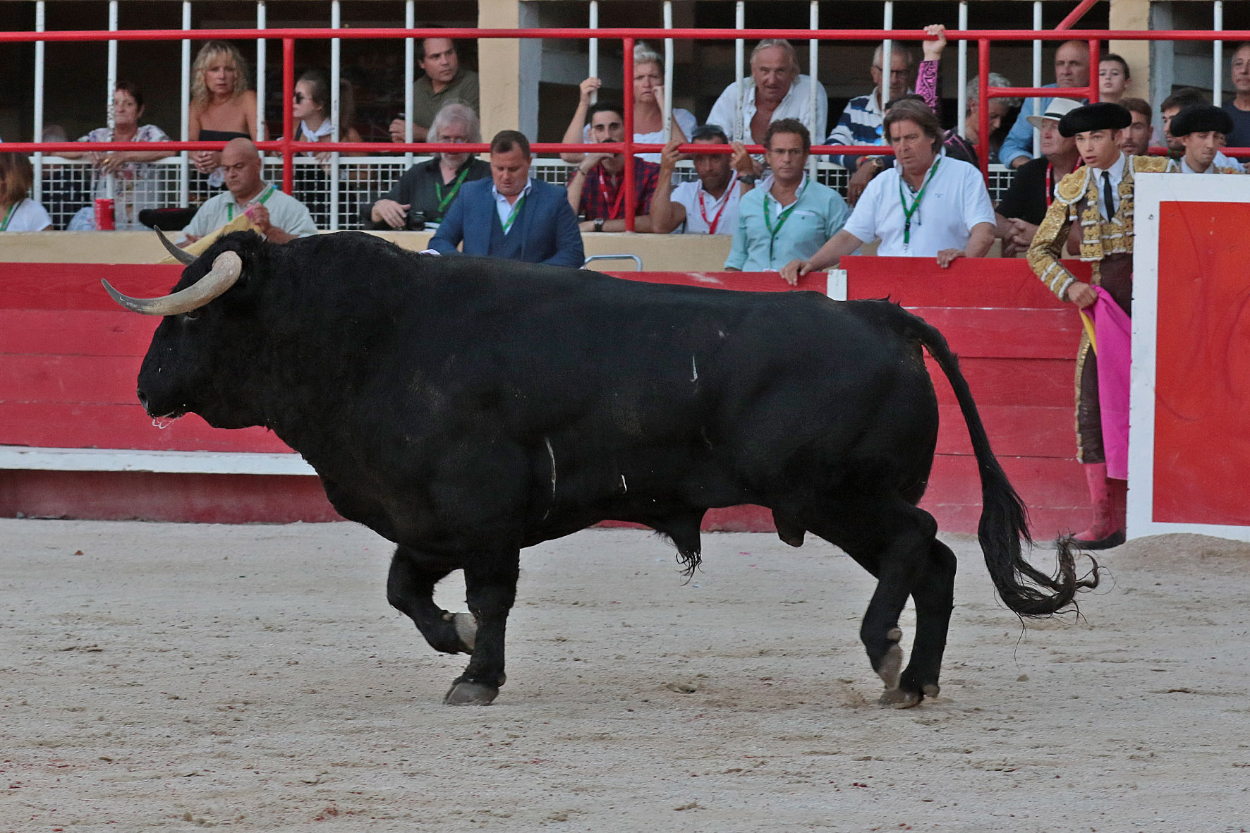 Saint-Gilles, 19 de agosto de 2018