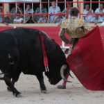 Saint-Gilles, 19 de agosto de 2018