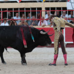 Saint-Gilles, 19 de agosto de 2018
