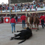 Saint-Gilles, 19 de agosto de 2018