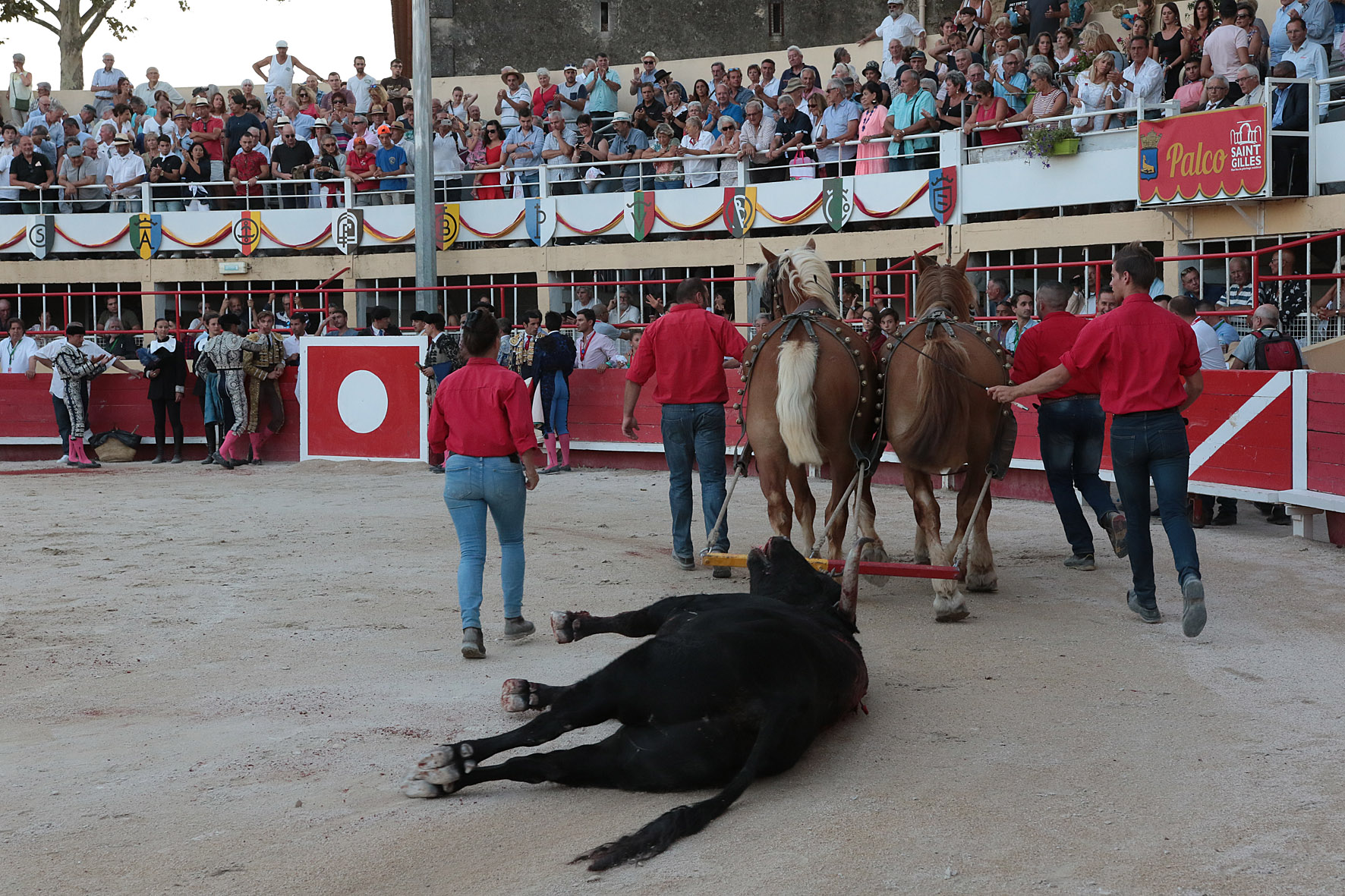 Saint-Gilles, 19 de agosto de 2018