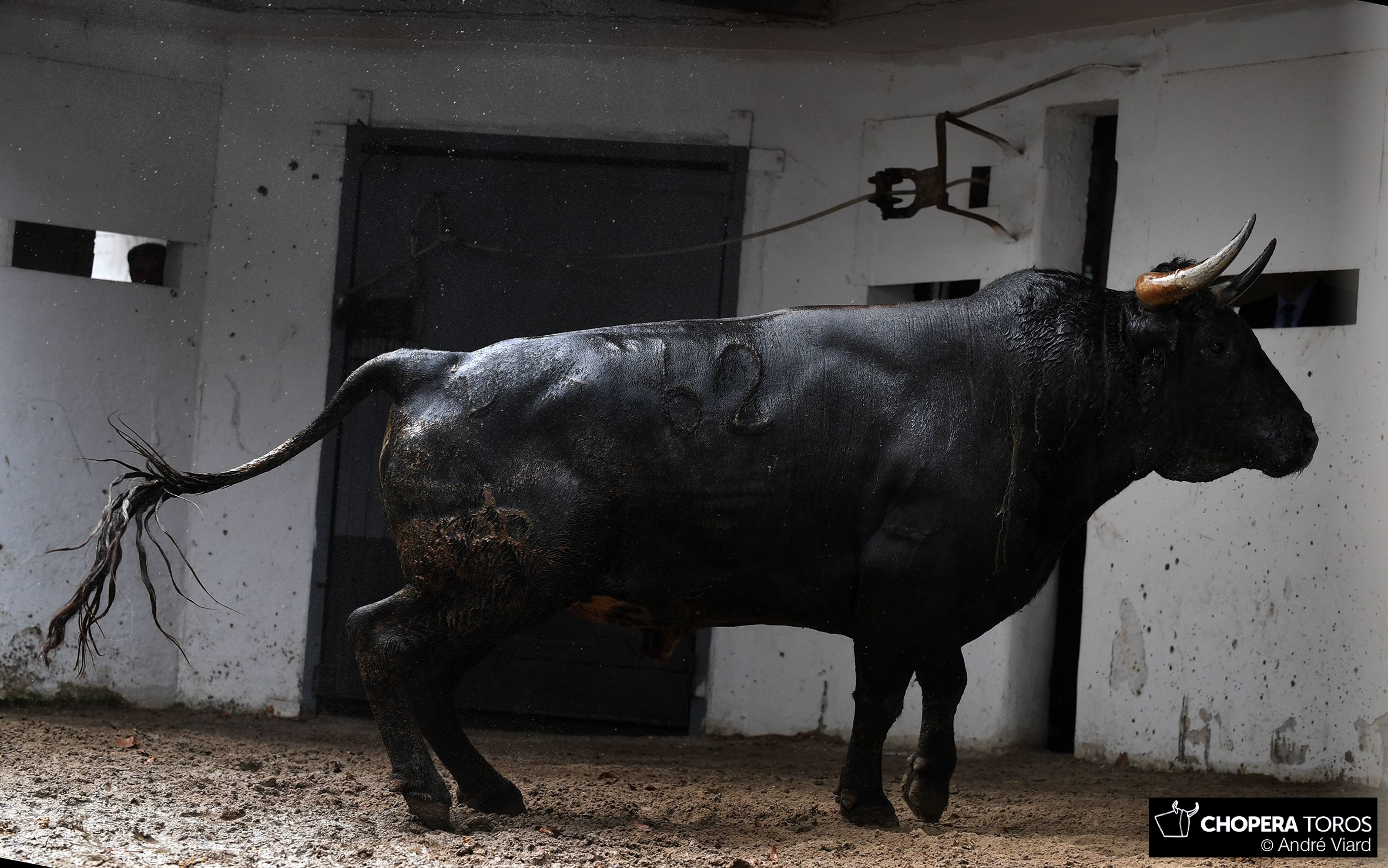 Sorteo, Bilbao 26 de agosto de 2018