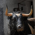 Bilbao, 18 de agosto de 2018