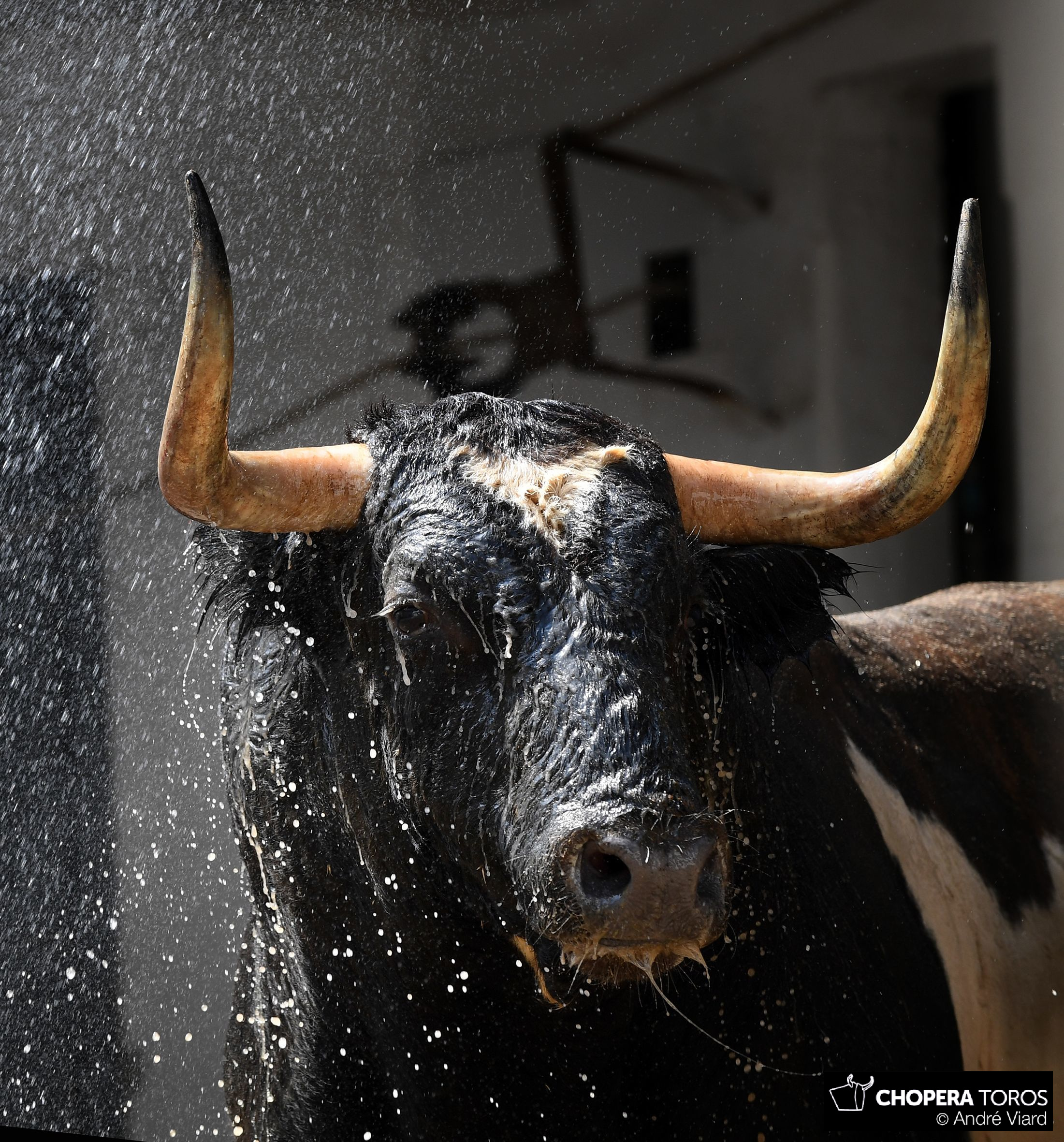 Bilbao, 18 de agosto de 2018