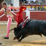 Huesca - Corrida de toros - Sábado 11 de agosto de 2018